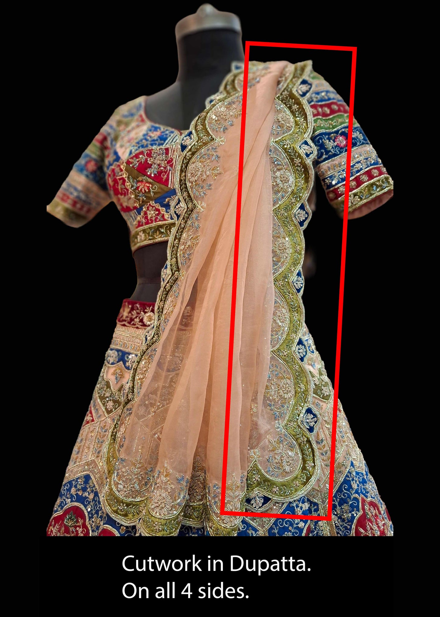 Multicolor Lehenga